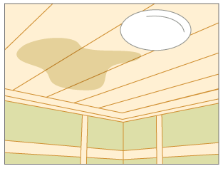 天井板にシミを発見したら、それは「雨漏り」のサインだと疑いましょう