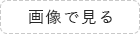 画像で見る