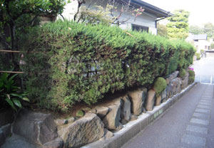 外構　門まわり>
