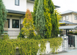 敷地の大きさに対して門廻りが小さかったため、家全体が狭く暗い印象でした>