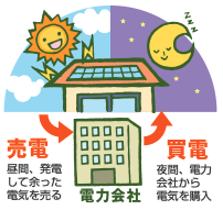 【基礎知識】太陽光発電編　経済性について