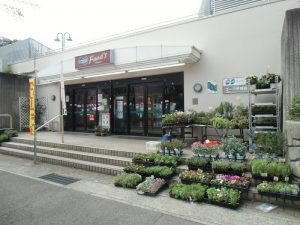 コープ甲陽園8/20(金) お住まいのご相談承ります♪