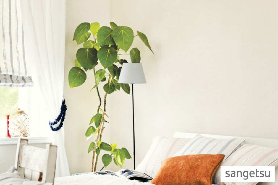 壁紙（クロス）のリフォームの画像