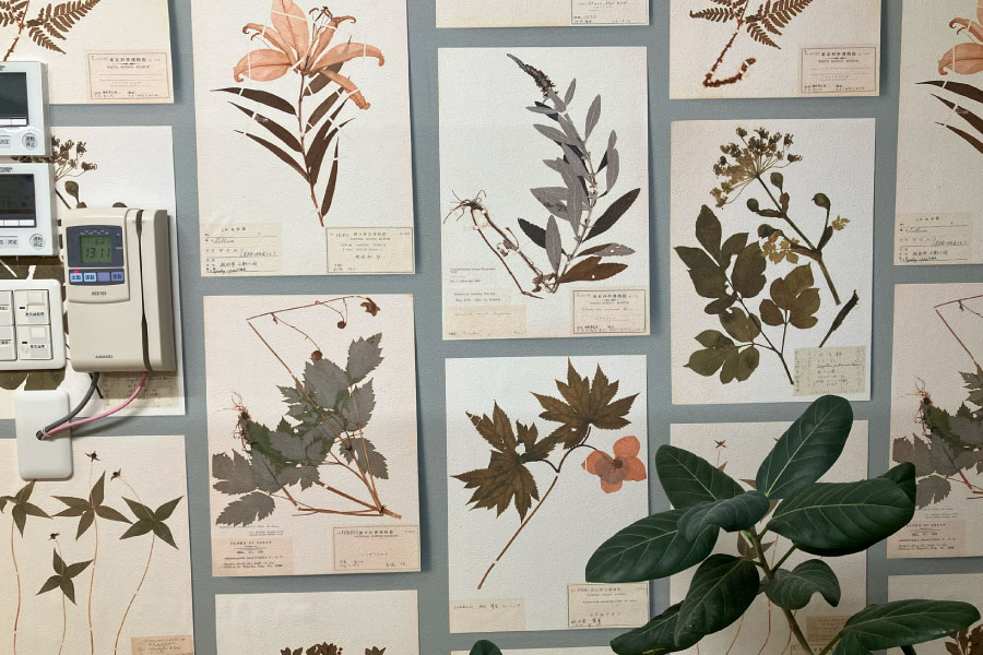 壁紙（クロス）のリフォームの画像