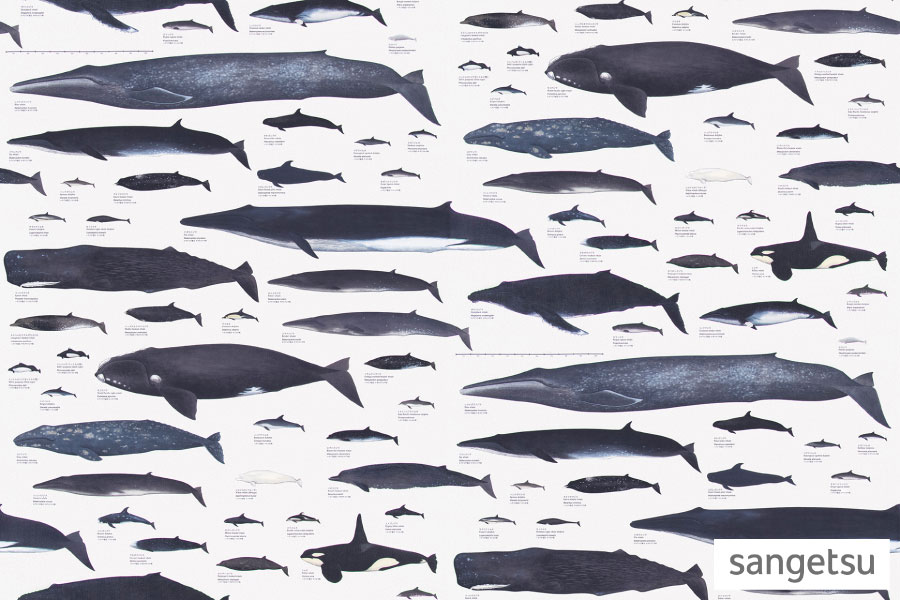 壁紙（クロス）のリフォームの画像