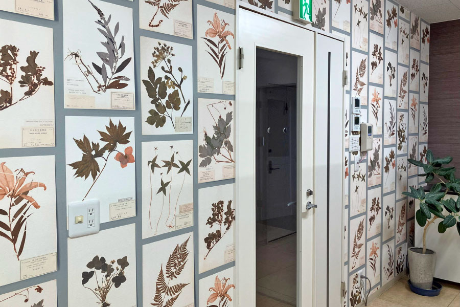 壁紙を張り替えたいなと思ったとき、下記の壁紙（クロス）のリフォームの画像