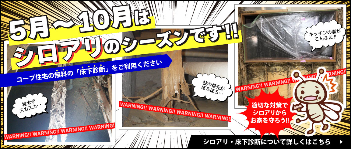 5月～10月はシロアリのシーズンです！無料の床下点検をご利用ください。