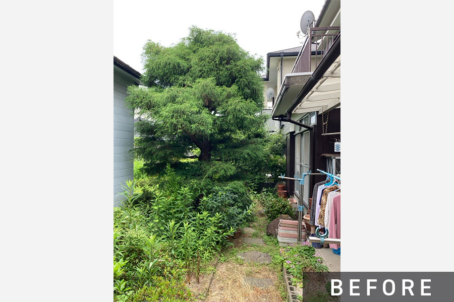 施工前のお庭>