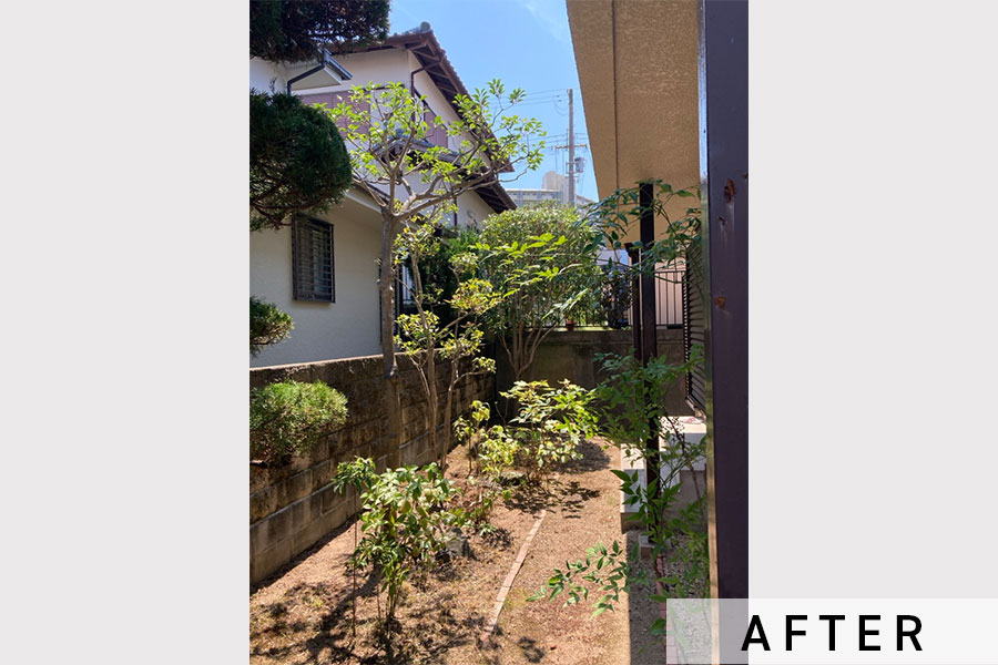 剪定前のお庭。足元の雑草も処理し、明るく風通しの良いお庭になりました。>