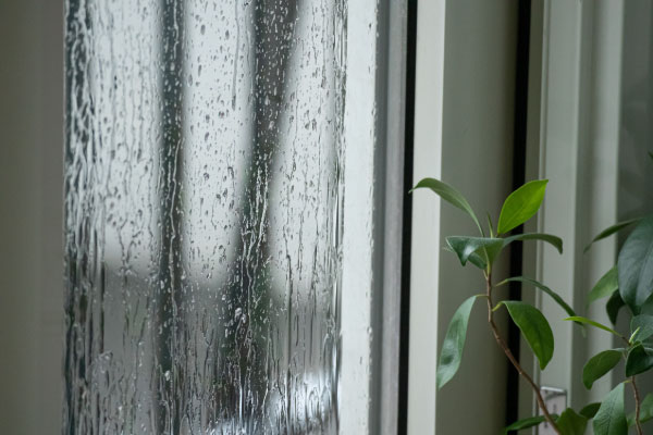 ひさしや雨戸のない窓は、雨が吹き込みやす台風・集中豪雨への備えで大切なことは？日頃からできる対策を紹介！【集中豪雨編】の画像