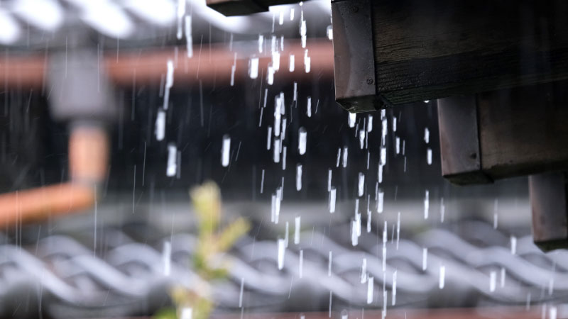 台風・集中豪雨への備えで大切なことは？日頃からできる対策を紹介！【集中豪雨編】