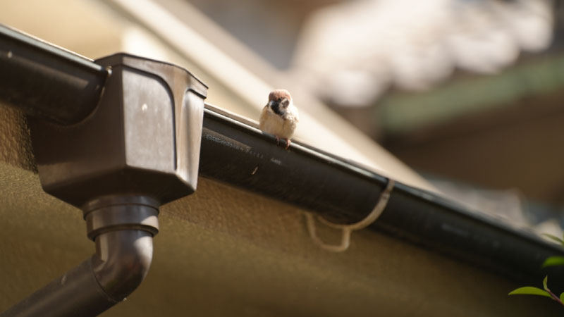 雨樋の修理・リフォーム