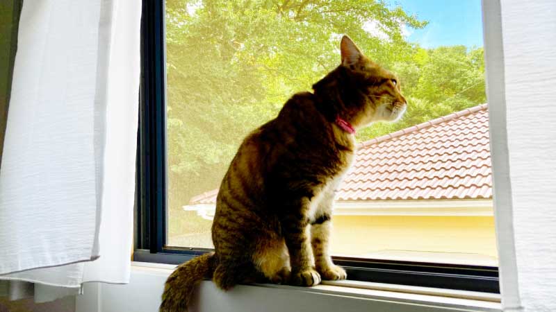 DIYで出来る網戸のがたつき調整方法