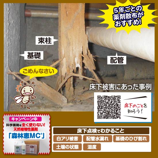 床下工事・シロアリ駆除
