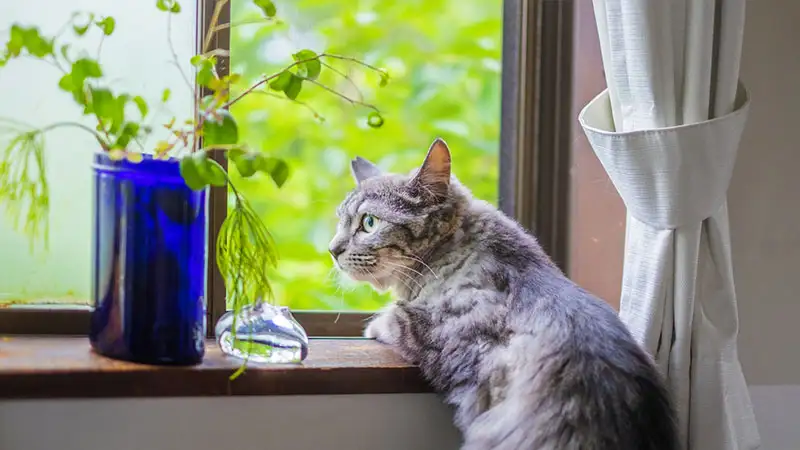 窓・内窓のリフォーム