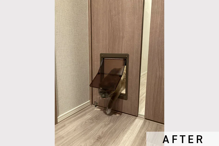 猫ちゃんが通り抜ける様子①>