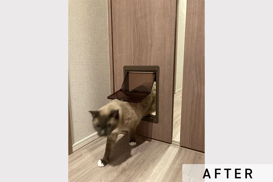 猫ちゃんが通り抜ける様子②>