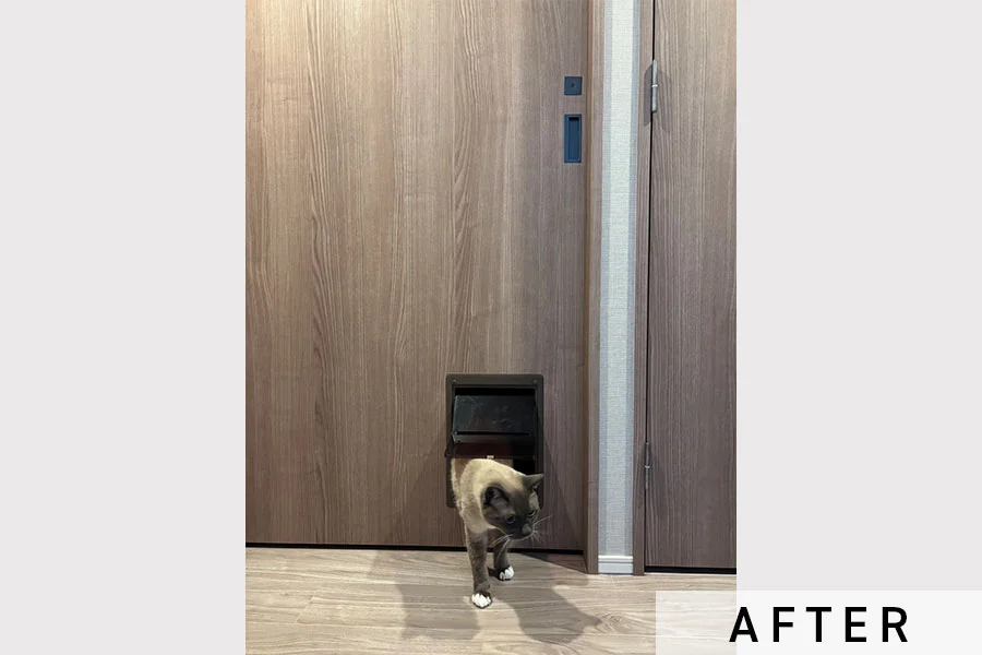 猫ちゃんが通り抜ける様子②>